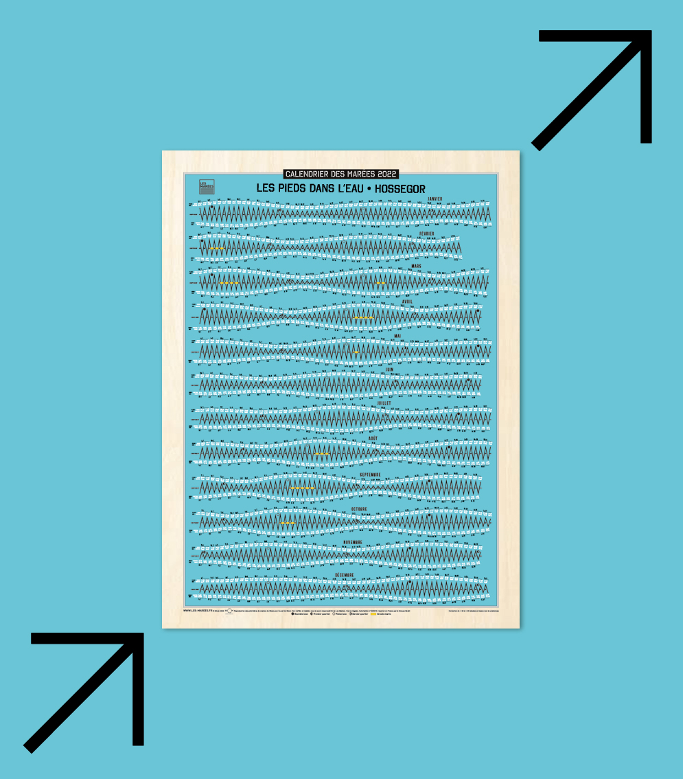 Infographie Calendrier des marées modèle bleu vif avec titre personnalisé 
